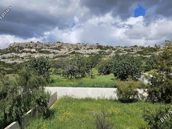 3 bedroom detached house for sale coral bay paphos 1519840 image 16516800