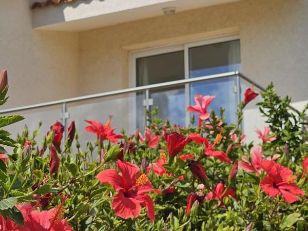 3 bedroom detached house for sale coral bay paphos 1519840 image 16516802