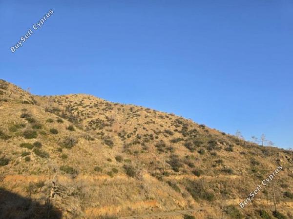 land for sale odou larnaca 1032840 image 17286813