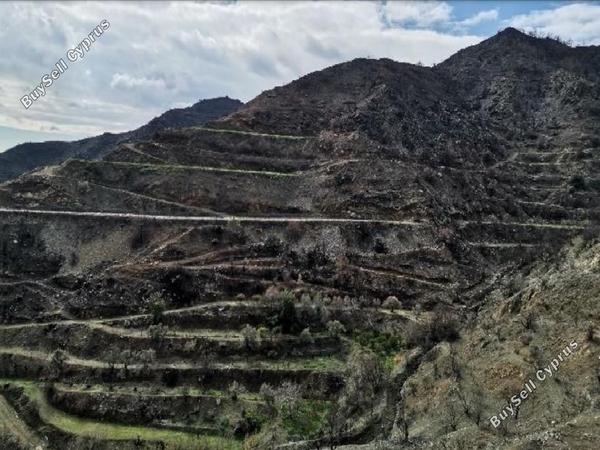 land for sale odou larnaca 1032840 image 17286817
