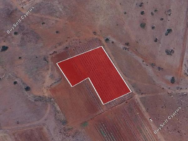 land for sale peristerona lefkosias nicosia 1362840 image 15600341