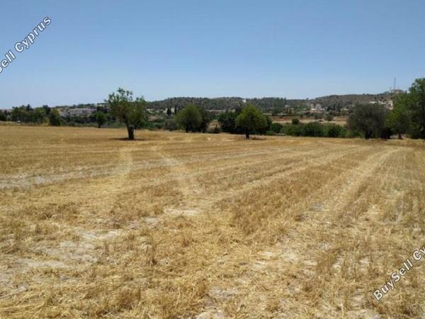 land for sale alethriko larnaca 830940 image 17156045