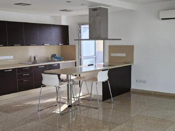 2 bedroom penthouse for rent nicosia municipality nicosia 8328050 image 16557507