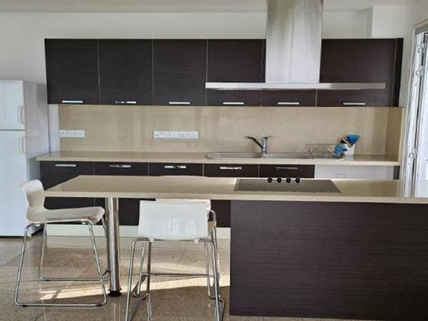 2 bedroom penthouse for rent nicosia municipality nicosia 8328050 image 16557511