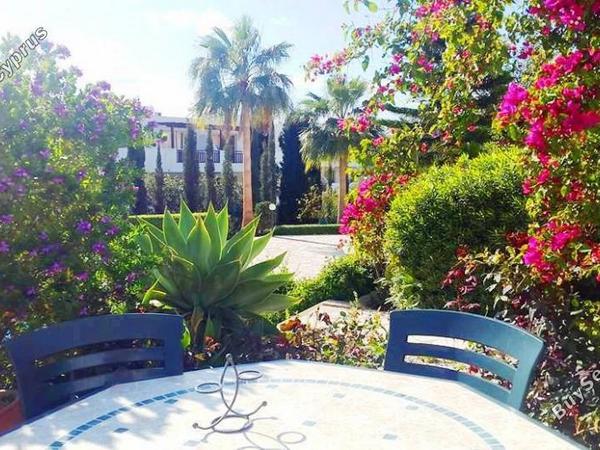 2 bedroom town house for sale peyia paphos 7740050 image 14610779