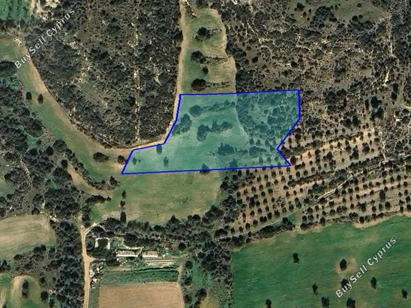 land for sale agios theodoros larnacas larnaca 1804050 image 6126347