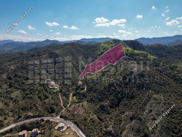 land for sale pigenia nicosia 8312050 image 16561009