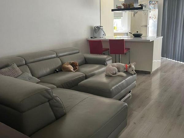 2 bedroom apartment for sale strovolos nicosia 8139150 image 13697719
