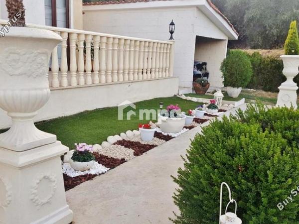3 bedroom detached house for sale korakou nicosia 1728150 image 5506482