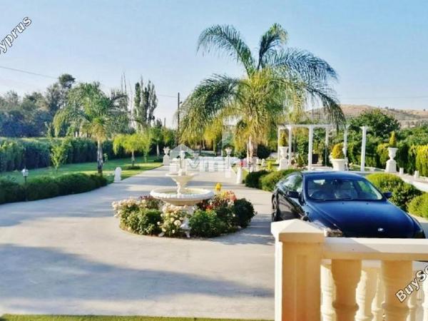 3 bedroom detached house for sale korakou nicosia 1728150 image 5506545