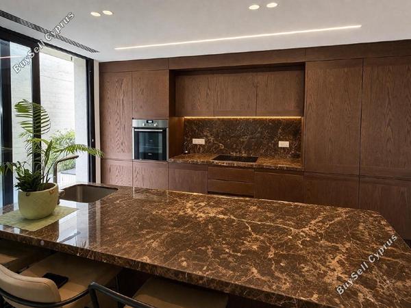 3 bedroom penthouse for sale agios nektarios limassol 1711250 image 15115241