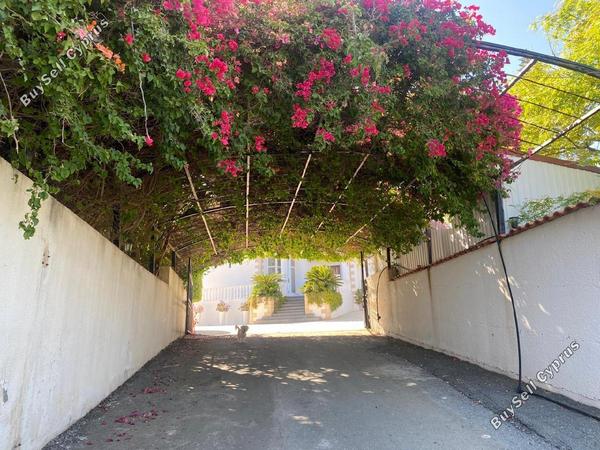 5 bedroom detached house for sale parekklisia limassol 1677250 image 4337462