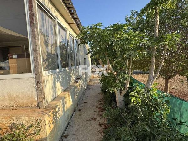 3 bedroom bungalow for sale chlorakas paphos 1889350 image 9217490
