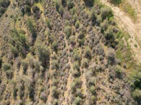 land for sale mosfiloti larnaca 8560350 image 15577305