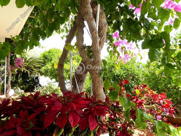 studio office for rent panthea limassol 8759350 image 16536973