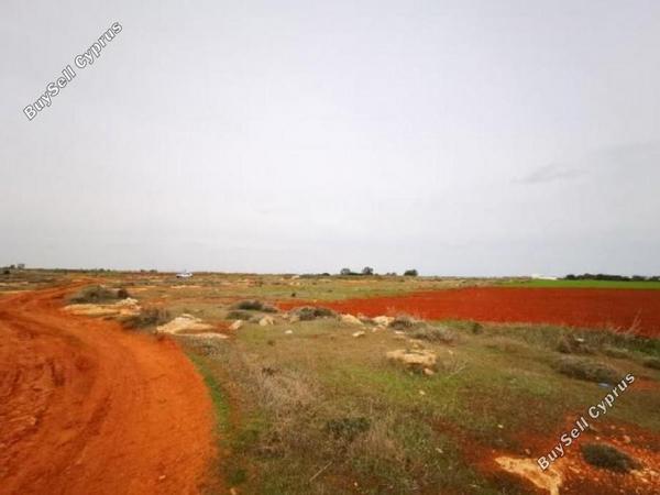land for sale sotira ammochostou famagusta 8630450 image 15873395