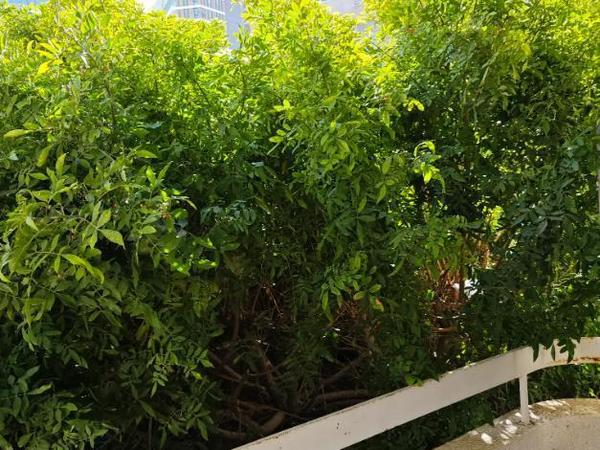 2 bedroom apartment for sale neapolis limassol 1934550 image 16624162