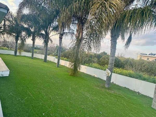 3 bedroom apartment for sale dali nicosia 8417550 image 16125236