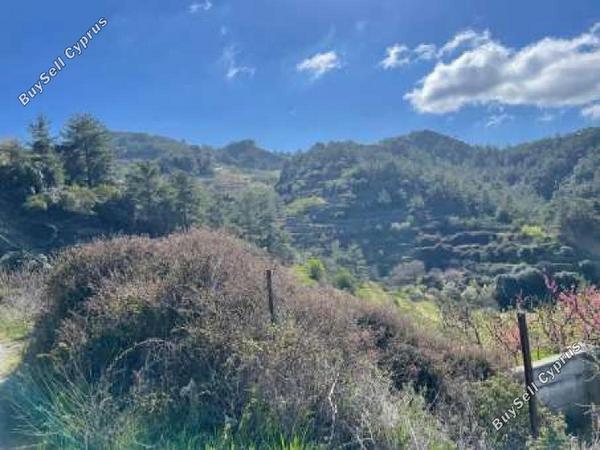 land for sale pelendri limassol 8726550 image 16331973