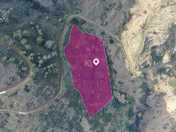 land for sale pigenia nicosia 1650550 image 5671672