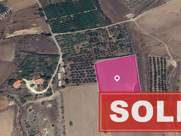 land sold kato koutrafas nicosia 1182550 image 3558680