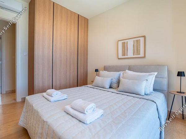 3 bedroom detached house for rent emba paphos 8791650 image 16680733