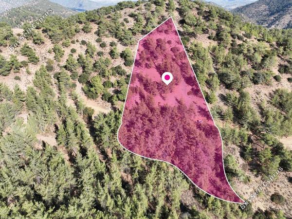land for sale gerakies nicosia 8537650 image 15493983