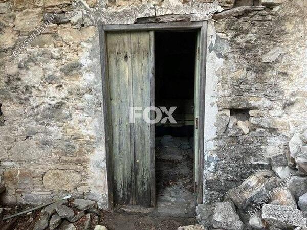 studio detached house for sale lofou limassol 1161650 image 3166614