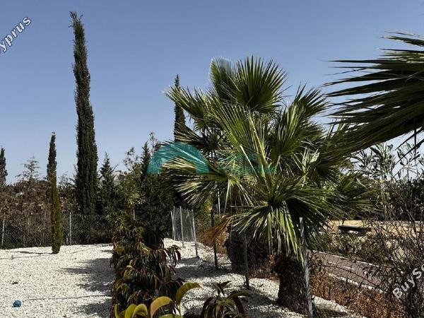 3 bedroom detached house for sale pervolia larnaca 1914750 image 10567860