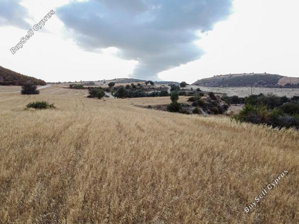 land for sale alaminos larnaca 962750 image 15601886