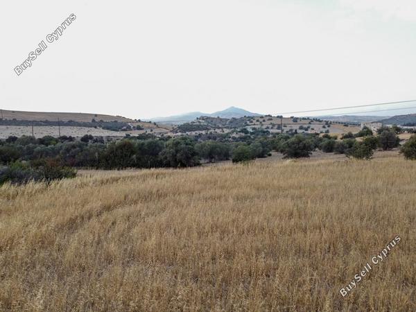land for sale alaminos larnaca 962750 image 15601887