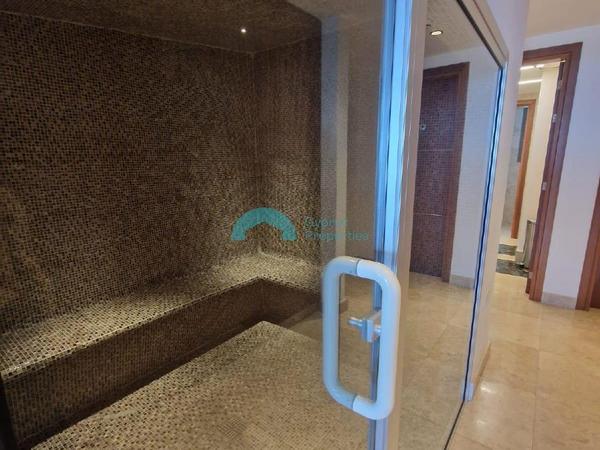 2 bedroom apartment for rent mouttagiaka limassol 8457850 image 15318616