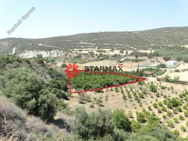 land for sale skarinou larnaca 1306850 image 13892692