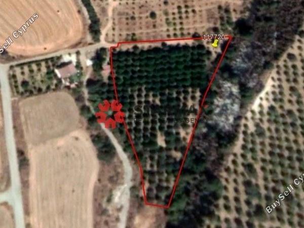 land for sale skarinou larnaca 1306850 image 13892694