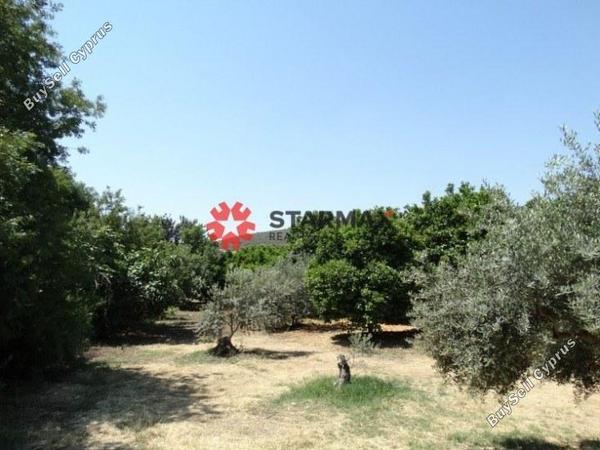 land for sale skarinou larnaca 1306850 image 13892695