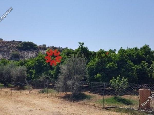land for sale skarinou larnaca 1306850 image 13892698