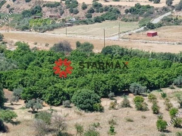 land for sale skarinou larnaca 1306850 image 13892701