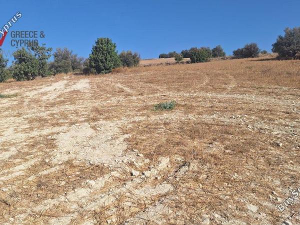 plot for sale alaminos larnaca 7573850 image 16132031