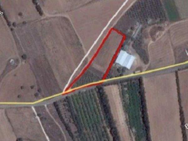 plot for sale kouklia pafou paphos 1680850 image 10265136