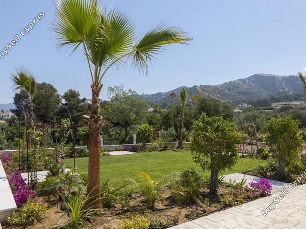 4 bedroom detached house for sale argaka paphos 8529950 image 15458741