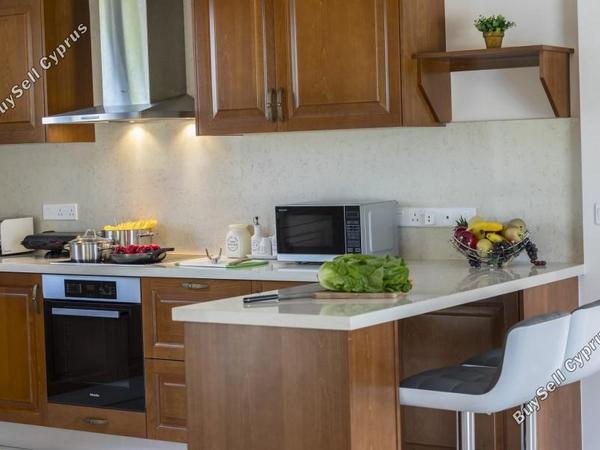 4 bedroom detached house for sale argaka paphos 8529950 image 15458763