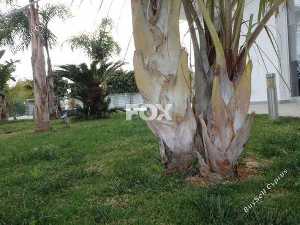 5 bedroom detached house for sale linopetra limassol 1147950 image 5489769