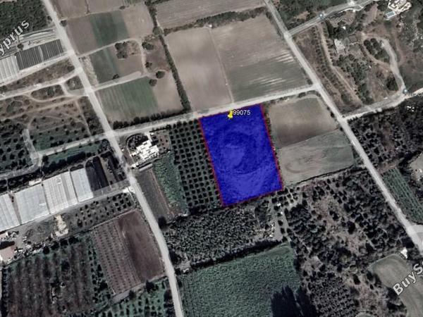 land for sale kissonerga paphos 1354950 image 14945867