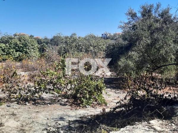 land for sale tsada paphos 1307950 image 14831292