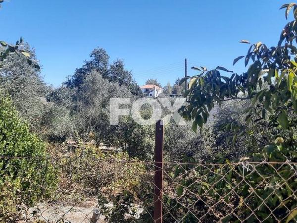 land for sale tsada paphos 1307950 image 14831294