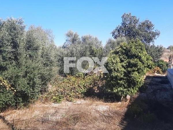 land for sale tsada paphos 1307950 image 14831298