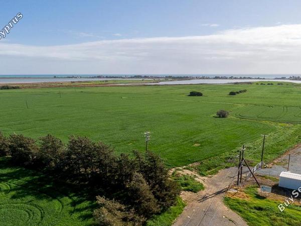 plot for sale meneou larnaca 8254950 image 16191672