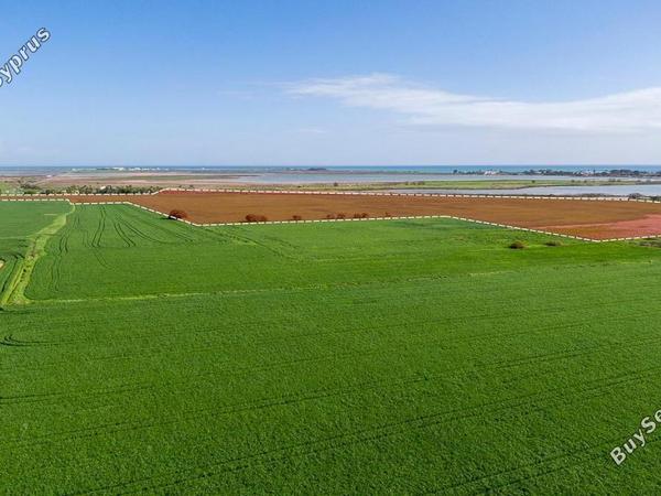 plot for sale meneou larnaca 8254950 image 16191673