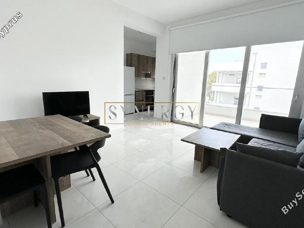 1 bedroom apartment for rent strovolos nicosia 8640060 image 16339783