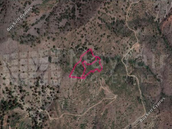 land for sale askas nicosia 7872060 image 11383989